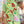 Two Pieces All Over Print Button Down Short Sets - | SmartBuyApparel